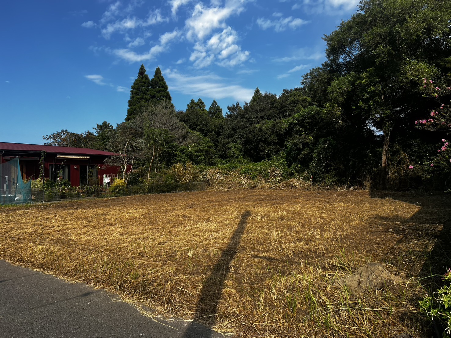 S__609001494_0